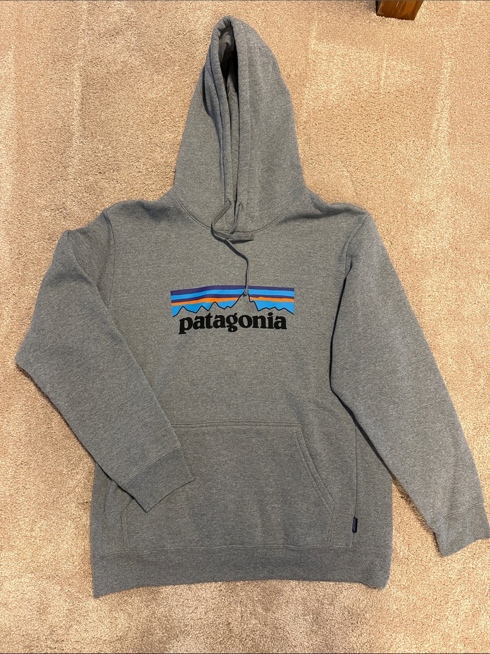 Patagonia Gray Pullover Hoodie with Multicolor Logo